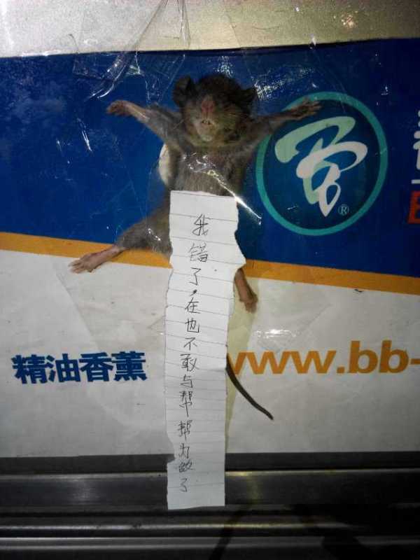 幫幫拜思特