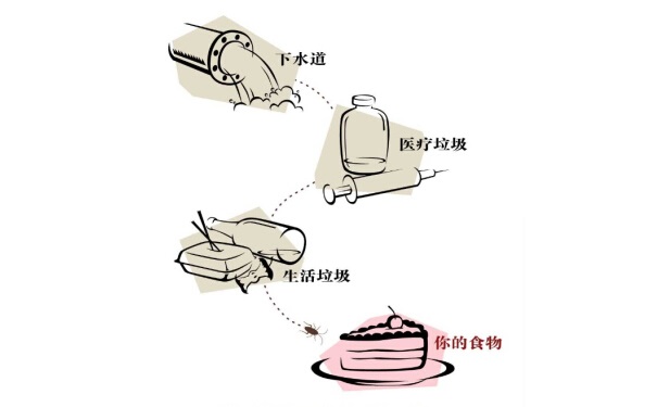 如何使用蟑螂藥才能達到最佳效果