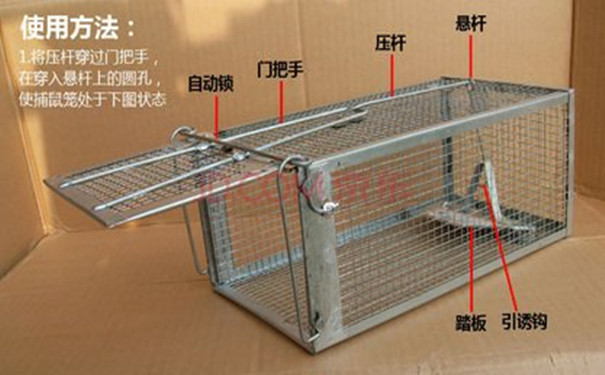 食品加工廠鼠害控制有策略:四個(gè)區(qū)域四道防線