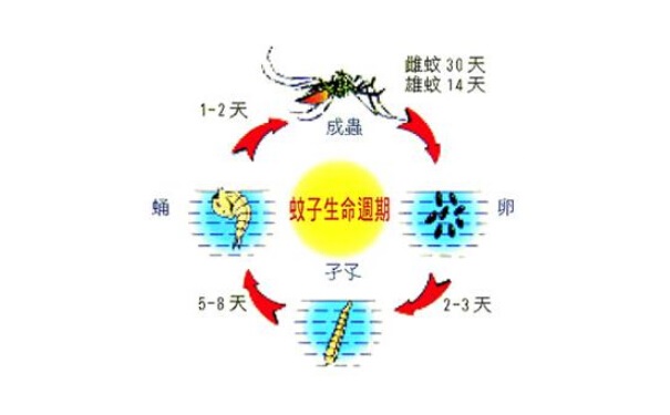 上海除蟲公司