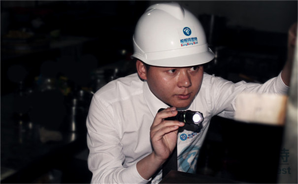 滅蟑螂公司
