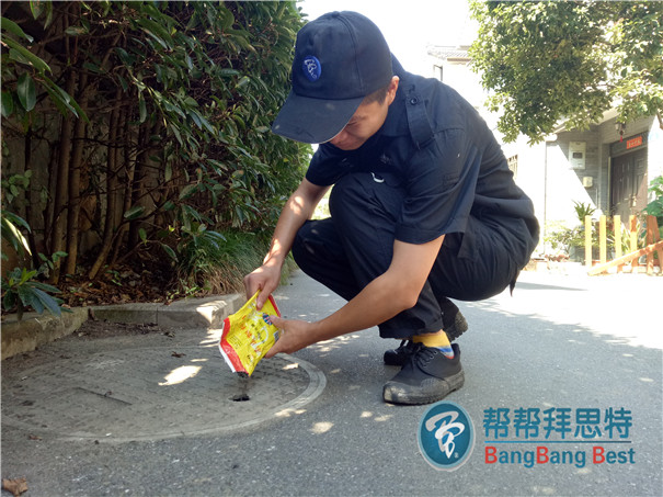 滅鼠公司淺談公共環(huán)境滅鼠最佳方法
