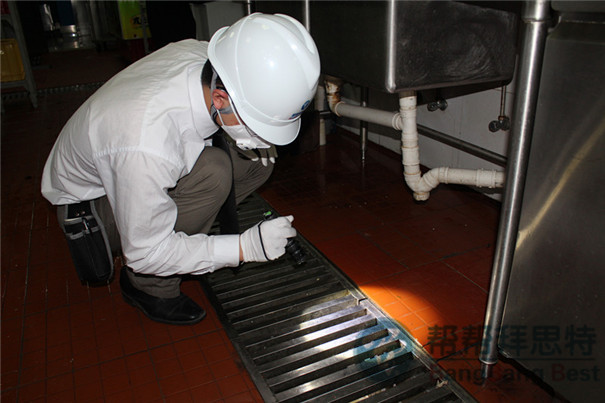 食品工廠除蟲應(yīng)該選擇具有高專業(yè)性的除蟲公司
