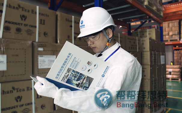 白蟻防治的基本方法以及最重要的注意事項
