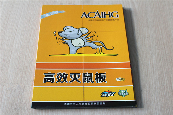 滅鼠公司教你消滅老鼠最正確的方法