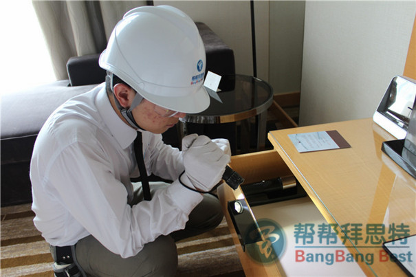 專業(yè)除蟲公司教你吸血臭蟲怎么滅