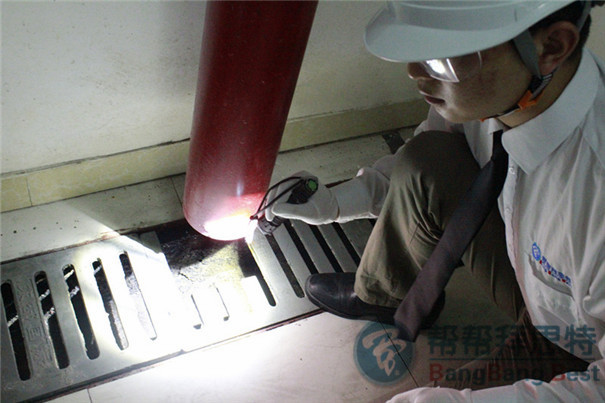 農貿市場蟲害怎么控制最有效