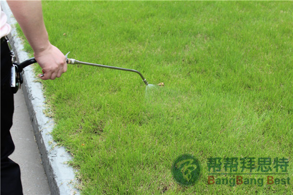 農貿市場蟲害怎么控制最有效
