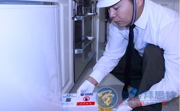 捕鼠工具怎么布放滅鼠公司來教你