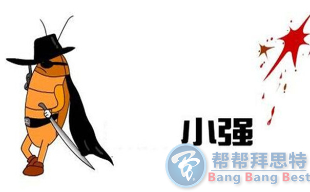 滅蟑公司告訴你消滅蟑螂的重要性