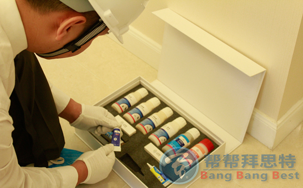 控蟲公司提示消滅跳蚤清潔寵物很重要