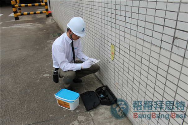 滅鼠公司如何有效進(jìn)行外環(huán)境滅鼠工作