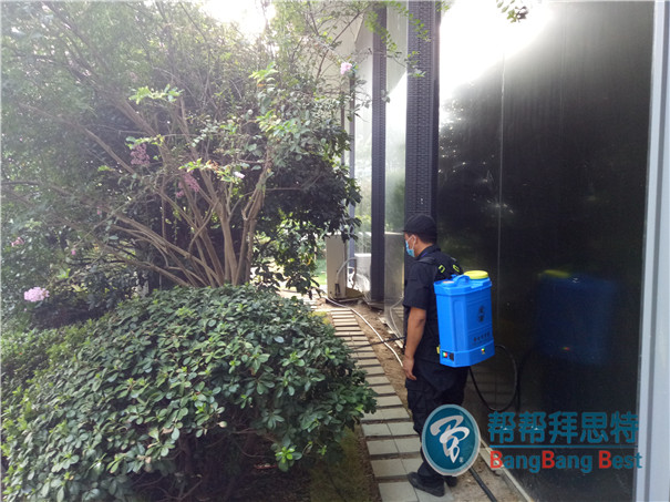 鼠婦潮蟲的預(yù)防及治理方法