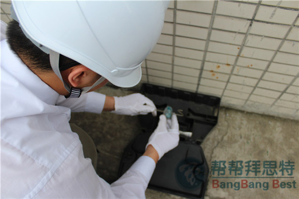 滅鼠公司如何使用毒餌站及毒餌站的布放方法
