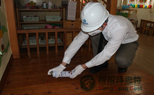 白蟻防治公司說說消滅白蟻最佳方法