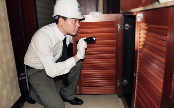 滅鼠公司跟大家詳細解說最佳滅鼠方法