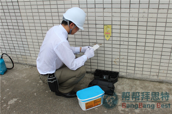 工廠滅鼠最有效的方法及防鼠措施