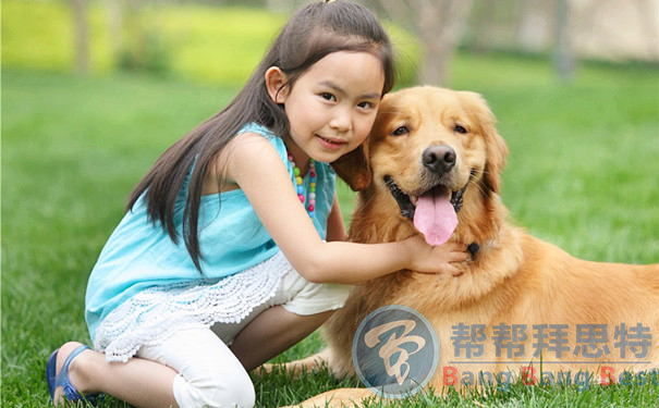 跳蚤的生物習(xí)性及危害