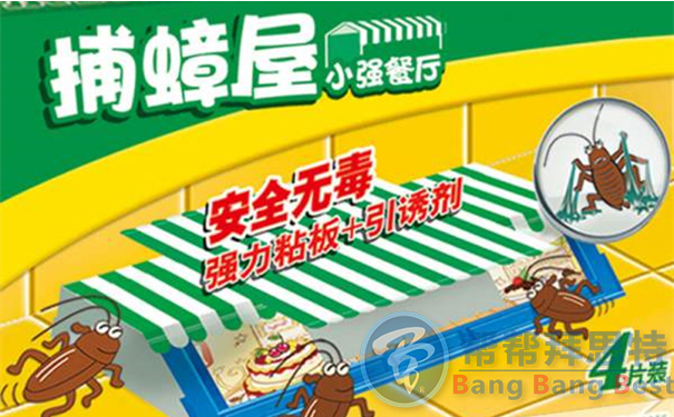 滅蟑公司教你6種家庭輕松滅蟑螂方法