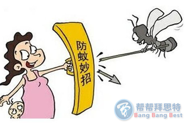 除蟲公司7招解決家庭蟲害問題