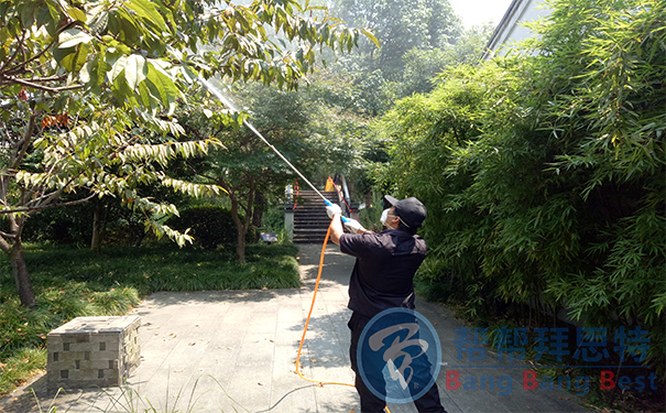 殺蟲公司如何滅飛蟲空間噴灑的利害