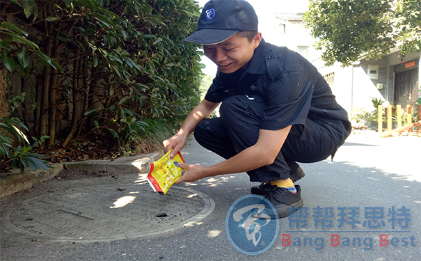 殺蟲公司如何滅飛蟲空間噴灑的利害