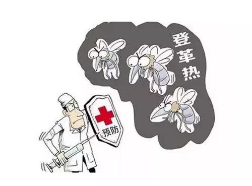 科普 | 登革熱來(lái)了不用怕 防控做好是關(guān)鍵