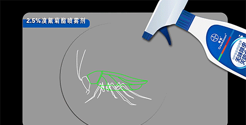 當(dāng)你殺蟑螂時，究竟發(fā)生了什么？