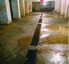疾控提醒：開學(xué)了，翻填清疏滅蚊子，別讓登革熱進(jìn)校園