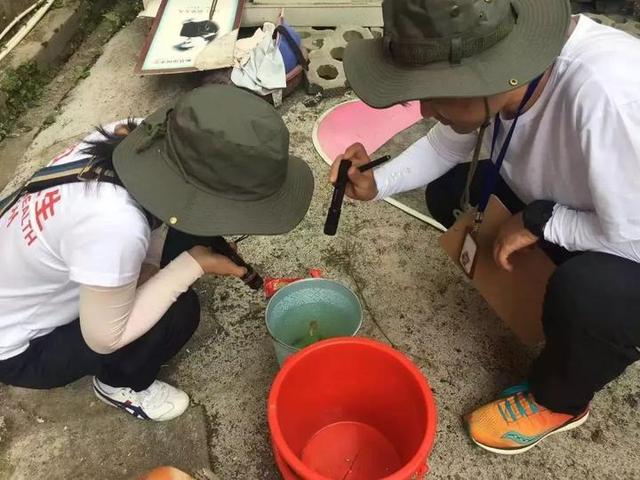 疾控提醒：開學(xué)了，翻填清疏滅蚊子，別讓登革熱進(jìn)校園