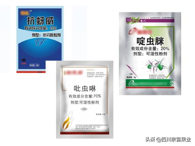 農(nóng)村人很熟悉的蚜蟲，也會為害梨樹，造成提前落葉、削弱樹勢