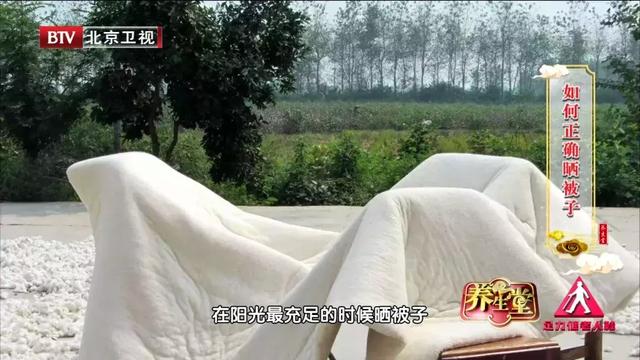 被子曬不對，小心除螨不成反過敏！秋季常見的三大過敏原，在身邊