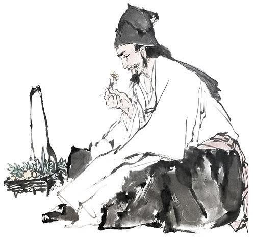蜘蛛這種看似“邪惡”的生物，能給人類(lèi)帶來(lái)什么便利？
