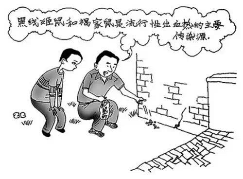 都是老鼠惹的禍，冬季小心出血熱