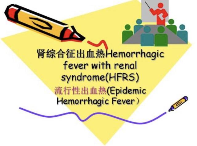 都是老鼠惹的禍，冬季小心出血熱