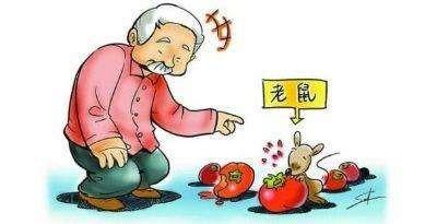 都是老鼠惹的禍，冬季小心出血熱