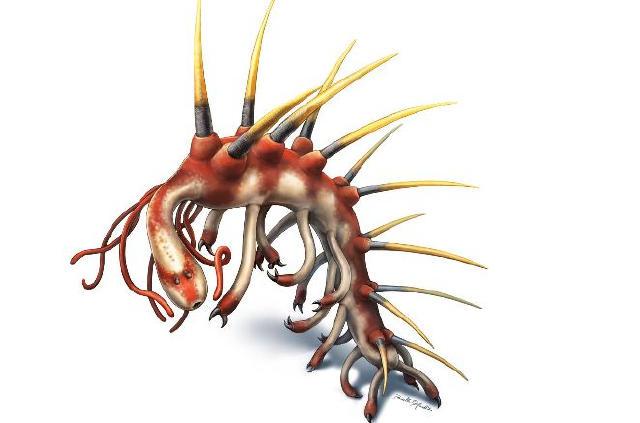 "離奇的白日夢"，怪異到科學家都研究好久的動物——怪誕蟲