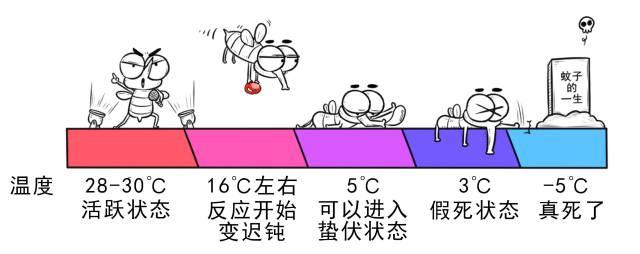 蚊子在冬天就全部消失了嗎？不妨在家里的角落找找它們