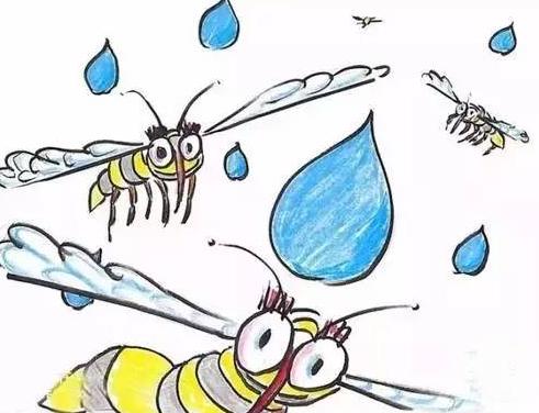 "可以承受的雨滴之重"，當(dāng)雨滴落在了蚊子身上，會(huì)發(fā)生什么