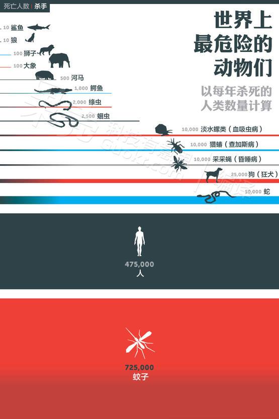 關(guān)于四害之一的蚊子，你們了解多少