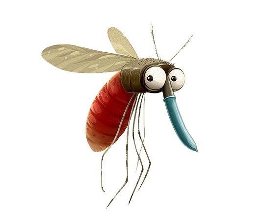 幫幫科普:蚊子的克星——食蚊魚