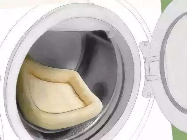 如果發(fā)現(xiàn)家中有跳蚤，只需這樣做，跳蚤就通通不見(jiàn)了