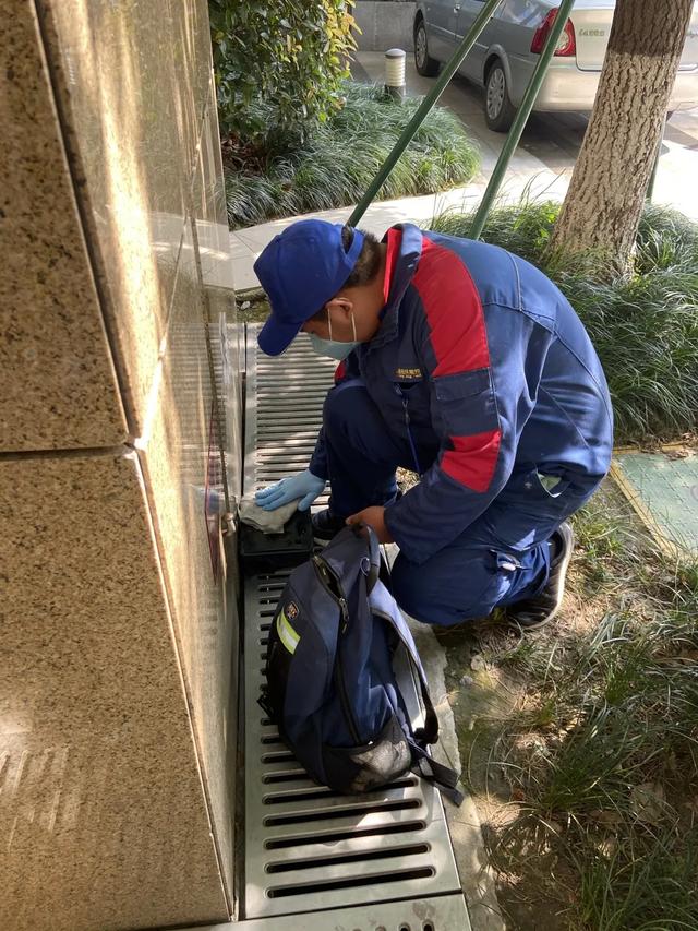 世界蟲害日|原來鐘南山為之打call的有害生物防制員是這樣的