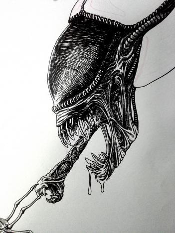 意想不到的狩獵武器，其貌不揚(yáng)的水中殺手——水蠆