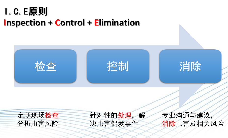 自述|一個蟲控人的多年心得