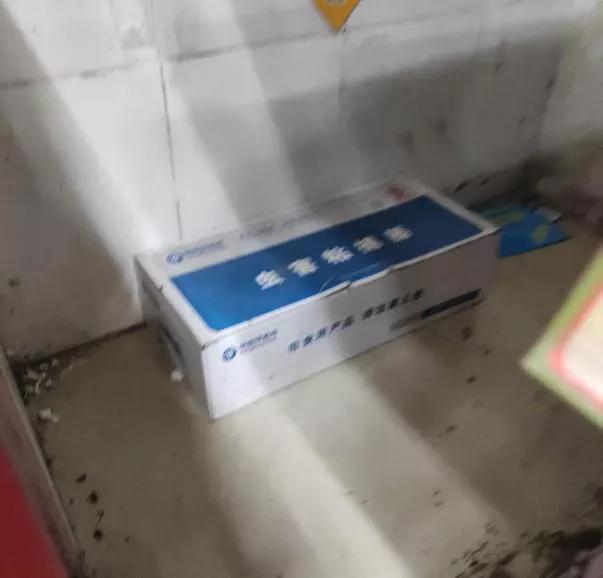 自述|超市鼠害防治重要性及方法