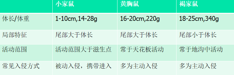 自述|餐飲行業(yè)鼠類(lèi)如何防治