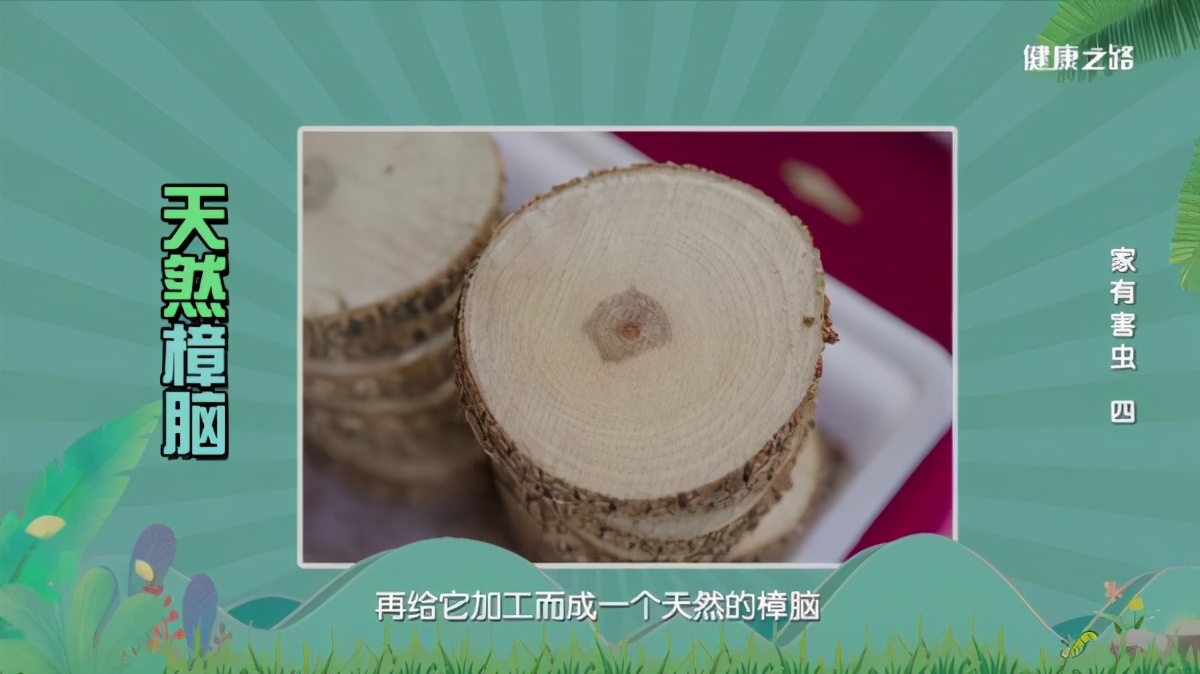 專(zhuān)家這么說(shuō)：家中出現(xiàn)糧食蛀蟲(chóng)、衣服蛀蟲(chóng)不要怕！我們有辦法