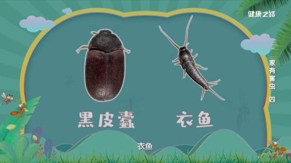專(zhuān)家這么說(shuō)：家中出現(xiàn)糧食蛀蟲(chóng)、衣服蛀蟲(chóng)不要怕！我們有辦法