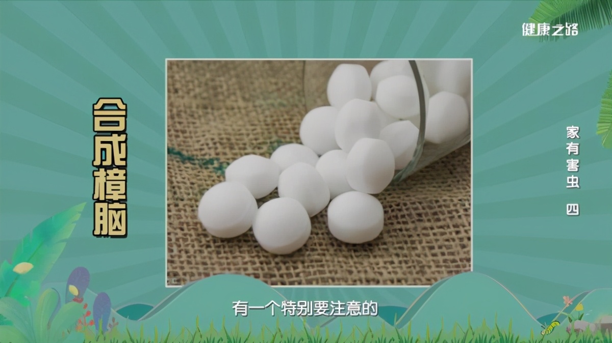 專(zhuān)家這么說(shuō)：家中出現(xiàn)糧食蛀蟲(chóng)、衣服蛀蟲(chóng)不要怕！我們有辦法